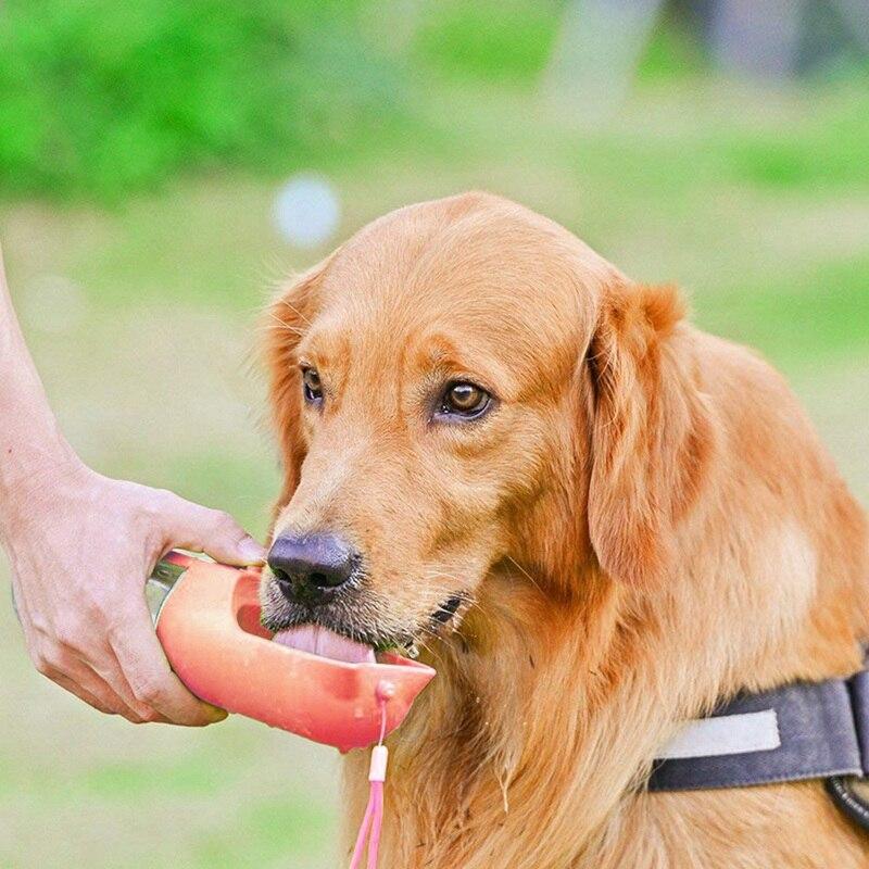 Portable Pet Cups Drinking Bottle Dog Cat Health Feeding Water Feeders